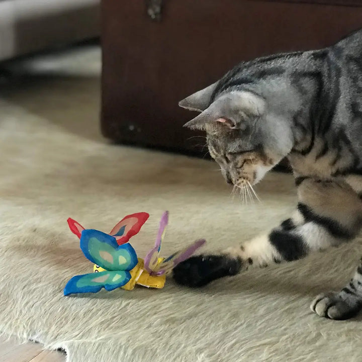 YEOWWW - BUTTERFLY