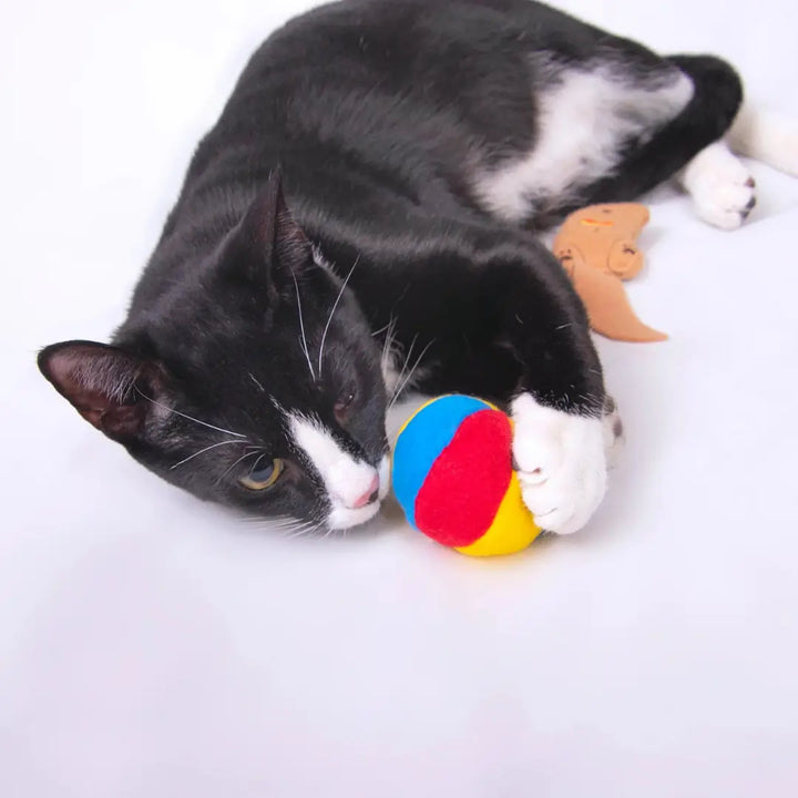 YEOWWW - MY CATS