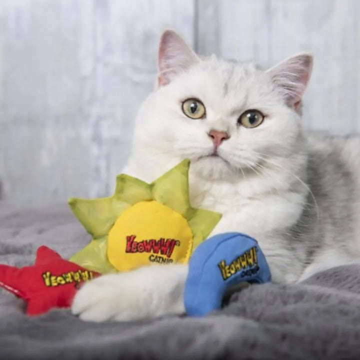 YEOWWW - SUN MOON AND STARS