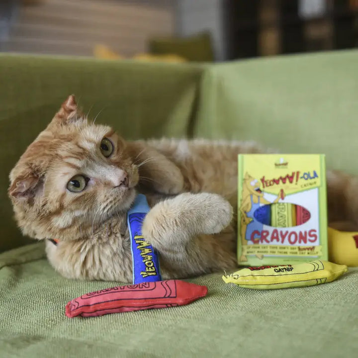 Yeowww - Ola Crayon