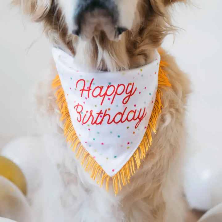 ZIPPYPAWS BIRTHDAY BANDANA