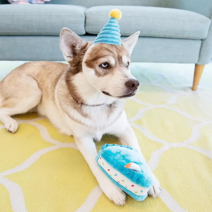 ZIPPYPAWS BIRTHDAY BOX