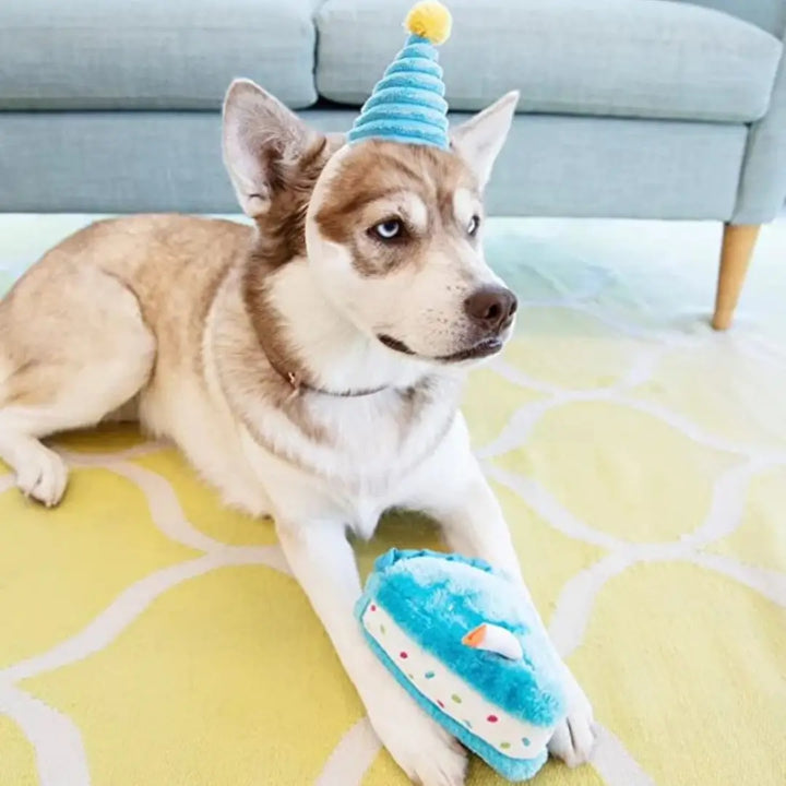 ZIPPYPAWS BIRTHDAY CAKE 