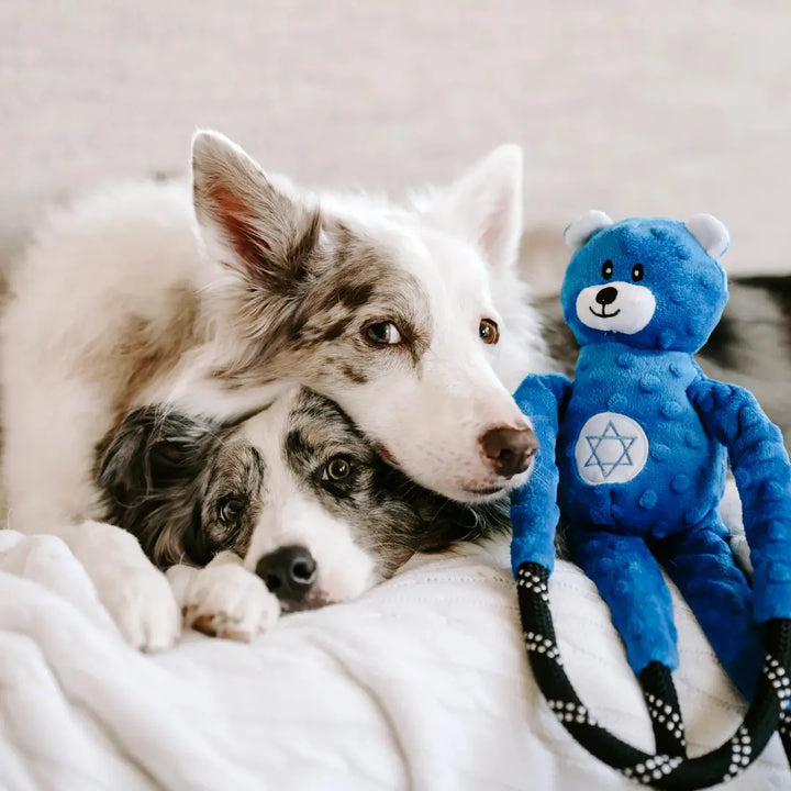 ZIPPYPAWS HANUKKAH ROPETUGZ