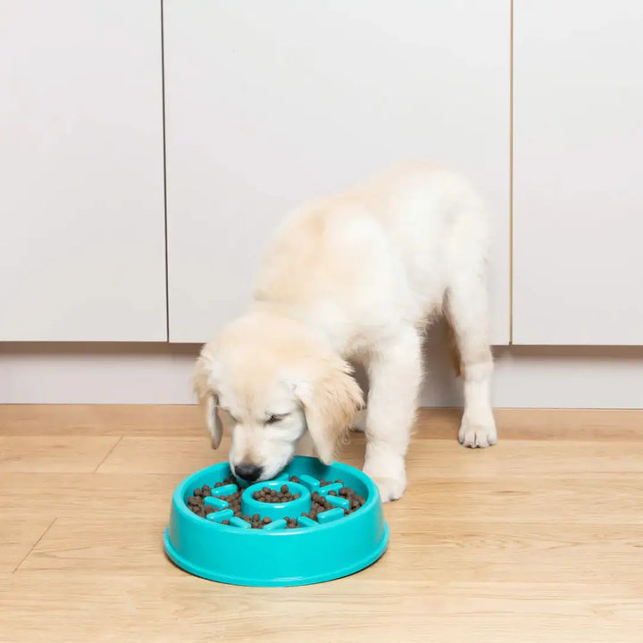 Zippypaws Happy Bowl
