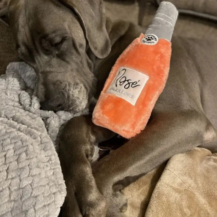 ZIPPYPAWS HAPPY HOUR