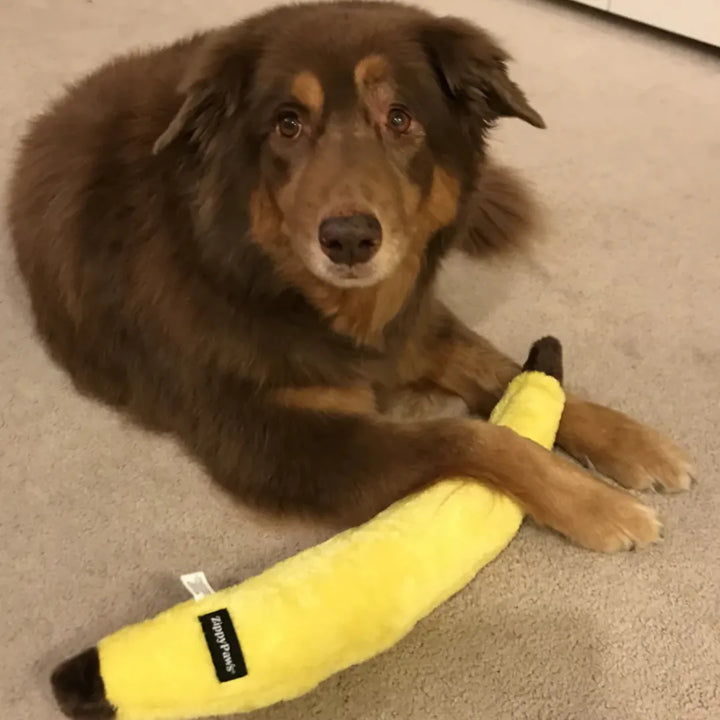 ZIPPYPAWS JIGGLERZ - BANANA