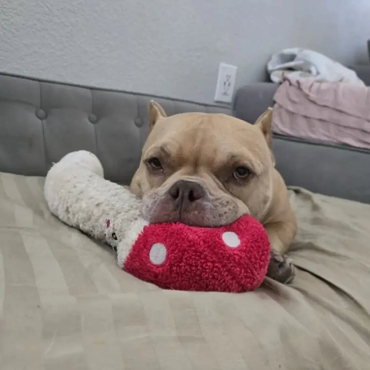 ZIPPYPAWS JIGGLERZ  MUSHROOM