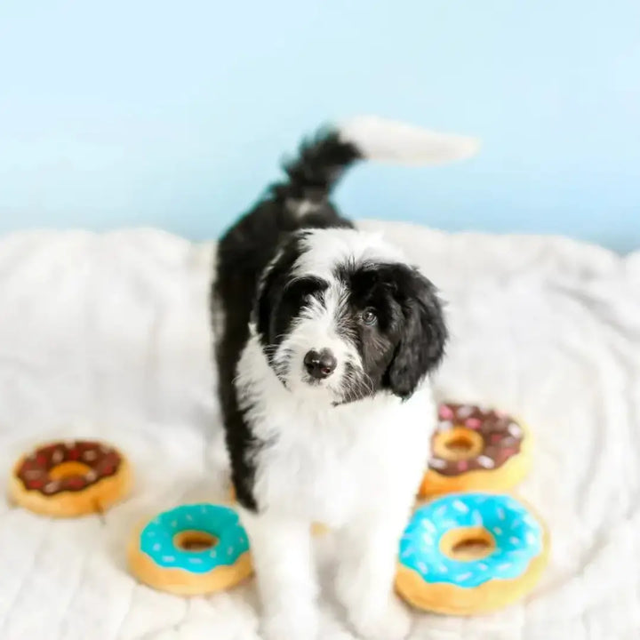 ZIPPYPAWS JUNIOR DONUTZ 