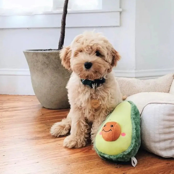 ZIPPYPAWS NOMNOMZ - AVOCADO