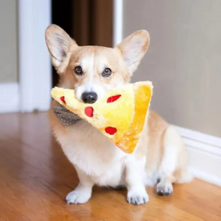 ZIPPYPAWS NOMNOMZ  PIZZA