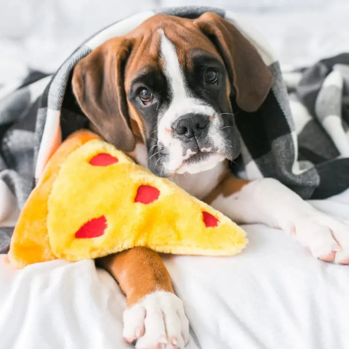 ZIPPYPAWS NOMNOMZ - PIZZA SLICE