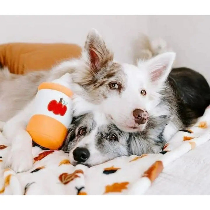 ZIPPYPAWS NOMNOMZ - PUMPKIN