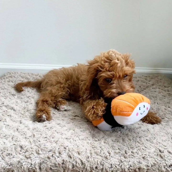 ZIPPYPAWS NOMNOMZ - SUSHI