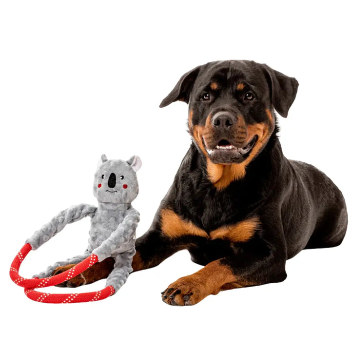 ZIPPYPAWS ROPETUGZ - KOALA