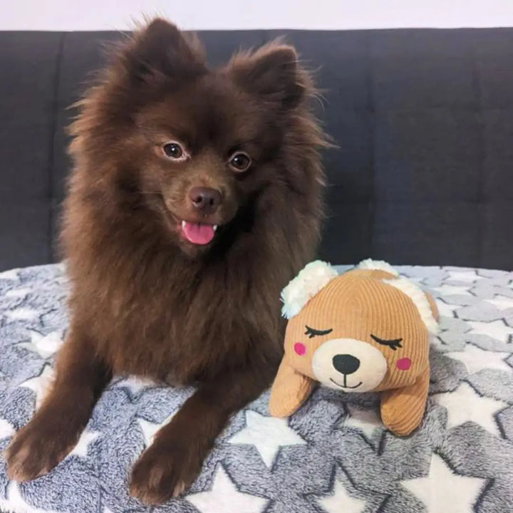 ZIPPYPAWS SNOOZIEZ - BEAR