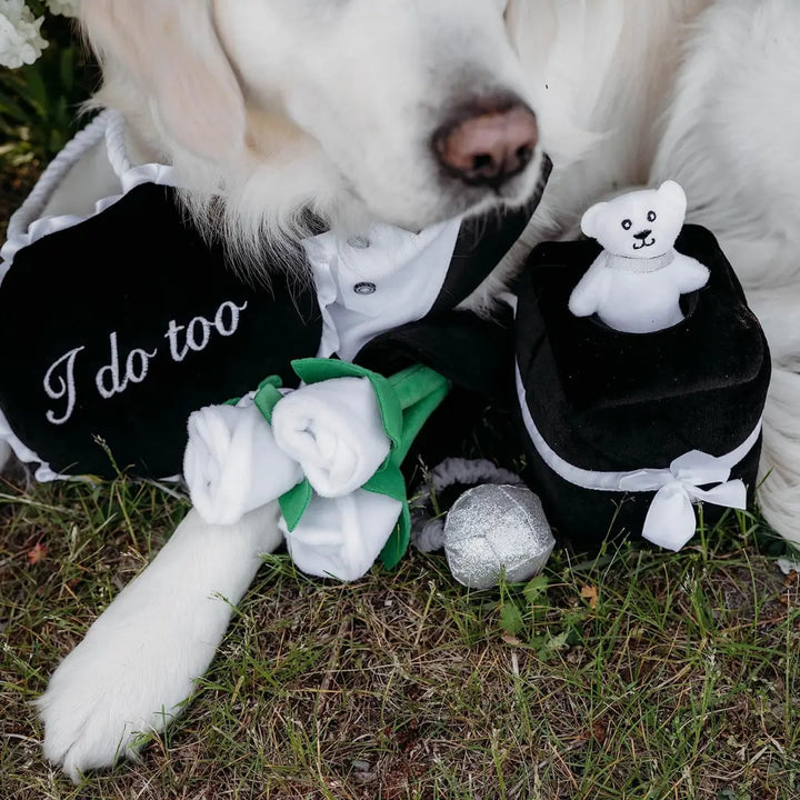 ZIPPYPAWS SQUEAKIE PATTIEZ - I DO TOO