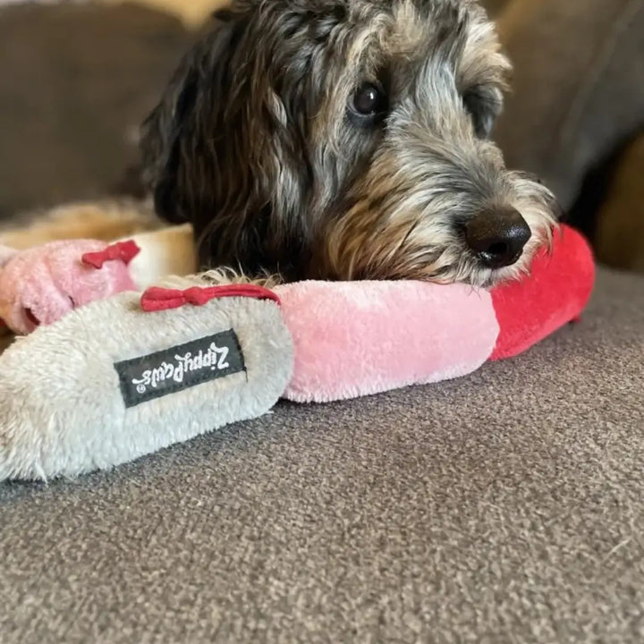 ZIPPYPAWS VALENTINES CATERPILLAR -DELUX 