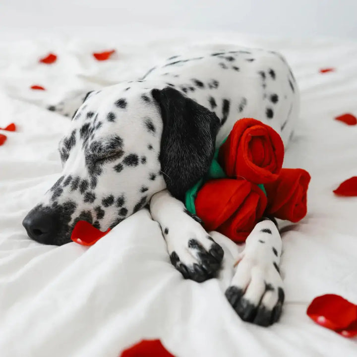 ZIPPYPAWS WEDDING BOUQUET OF ROSES