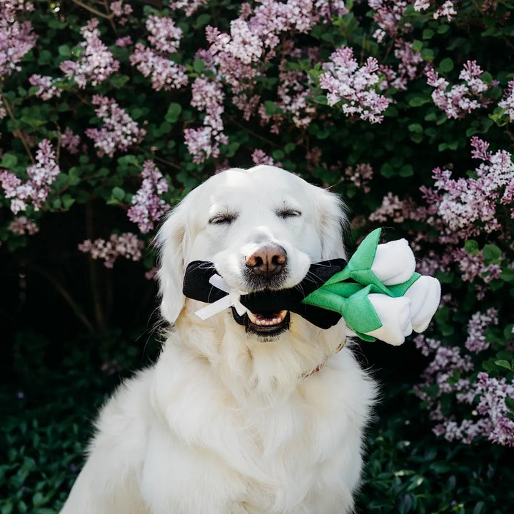 ZIPPYPAWS WEDDING BOUQUET OF ROSES