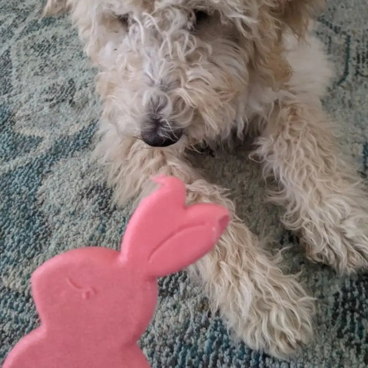 ZIPPYPAWS ZIPPYTUFF TEETHERZ - BONNIE 