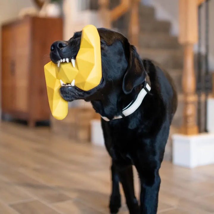 ZIPPYPAWS ZIPPYTUFF+ LIGHTING 