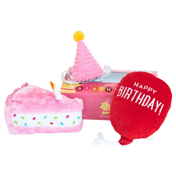 ZIPPYPAWS BIRTHDAY BOX - PINK