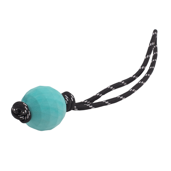 ZIPPYPAWS ZIPPYTUFF - WAGGLE BALL ROPETUGZ