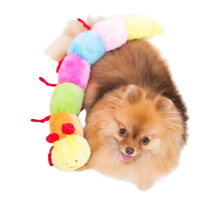 Zippypaws Caterpillar