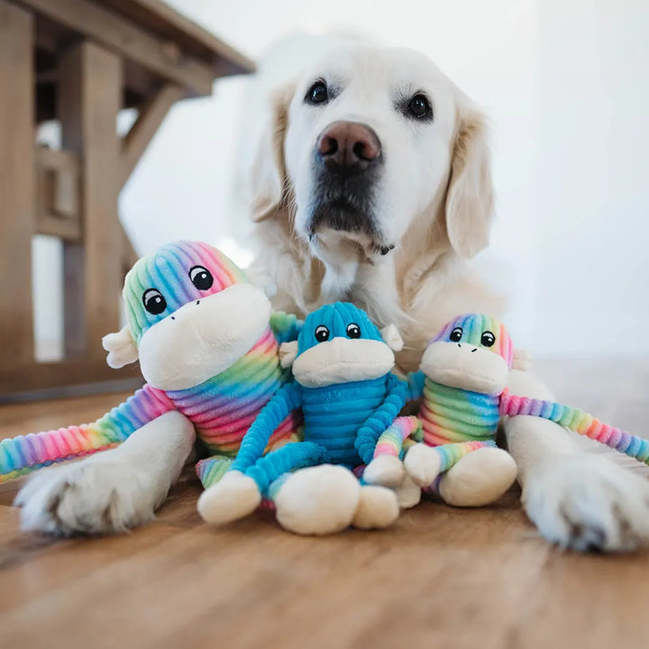 Zippypaws spencer the crinkle monkey 2pk small rbow blue