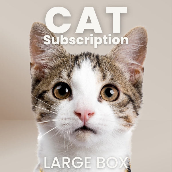 Cat Subscription Box: Large