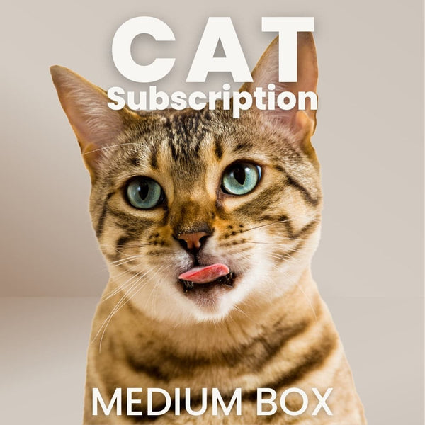 Cat Subscription Box: Medium