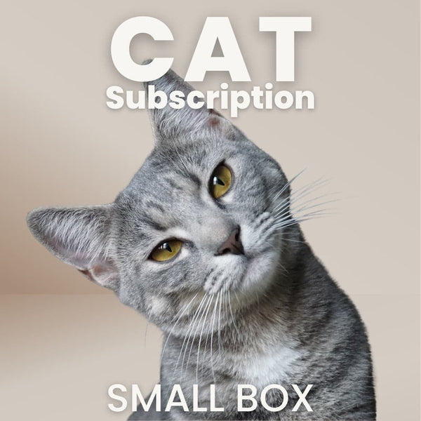 Cat Subscription Box: Small