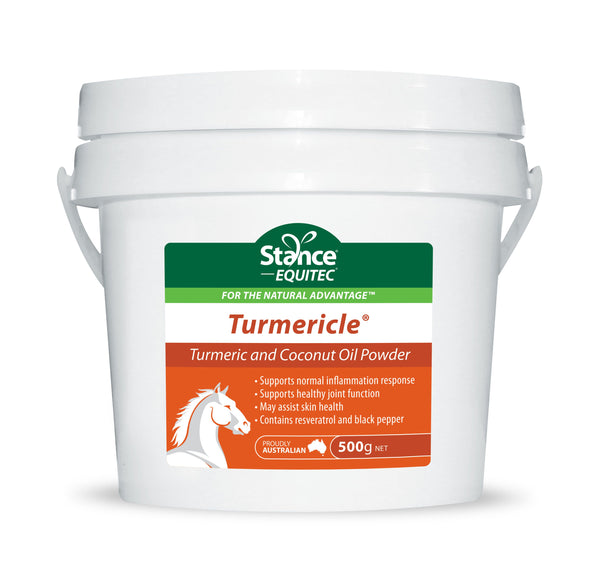 EQUITEC TURMERICLE 500G