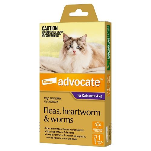 ADVOCATE CAT  4KG PLUS LARGE 1'S PURPLE
