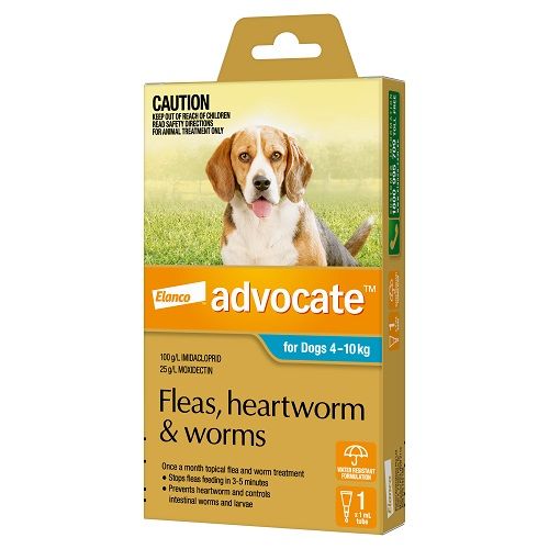 ADVOCATE DOG  4-10KG MEDIUM 1'S TEAL