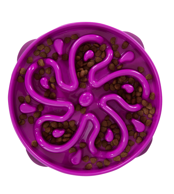 OUTWARD HOUND FUN FEEDER PURPLE