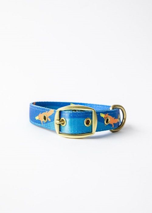 ANIPAL PIPER THE PLATYPUS DOG COLLAR LARGE