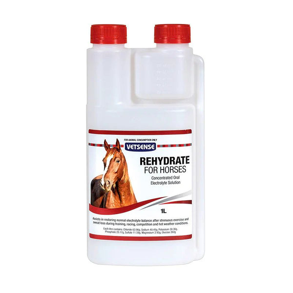VETSENSE REHYDRATE HORSE 1L