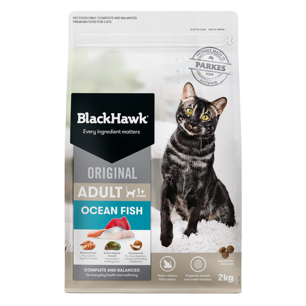 BLACK HAWK CAT OCEAN FISH 2KG