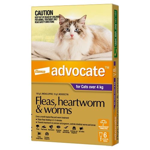 ADVOCATE CAT  4KG PLUS LARGE 6'S PURPLE