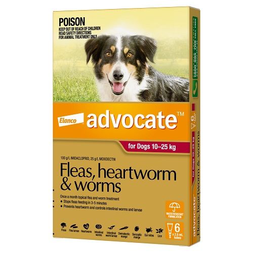 ADVOCATE DOG  10-25KG LARGE 6'S RED