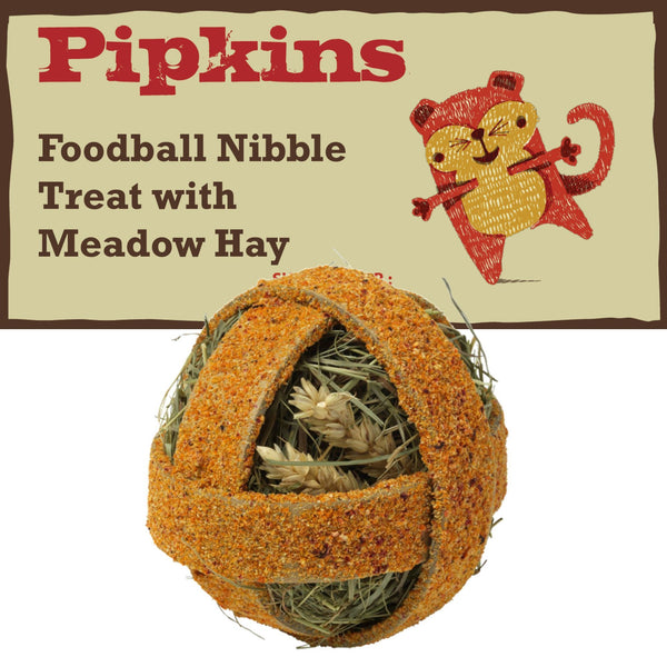 PIPKINS FOODBALL NIBBLES TREAT 125G