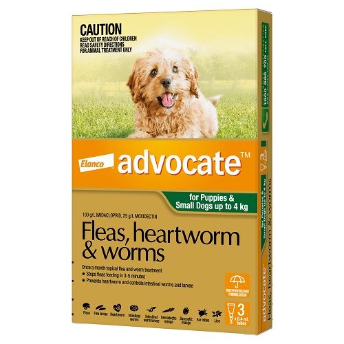 ADVOCATE DOG  0-4KG SMALL DOGS & PUPPIES 3'S GREEN