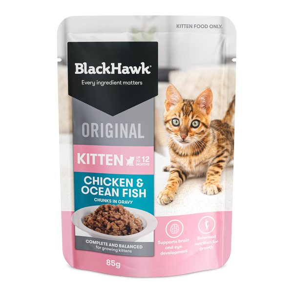 BLACK HAWK KITTEN CHICKEN OFISH IN GRAVY 85G 12PK (OM12)