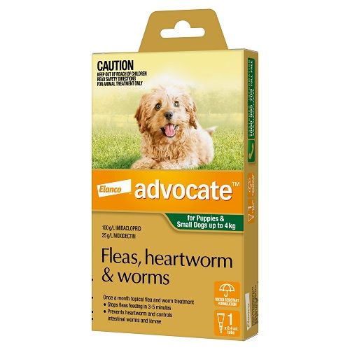 ADVOCATE DOG  0-4KG SMALL DOGS & PUPPIES 1'S GREEN