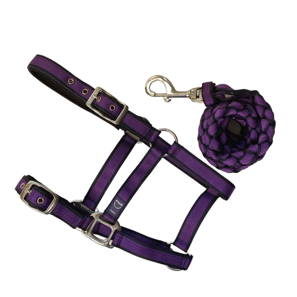 ANIPAL AUTUMN LILAC COMFORT HALTER & LEAD SET XFULL