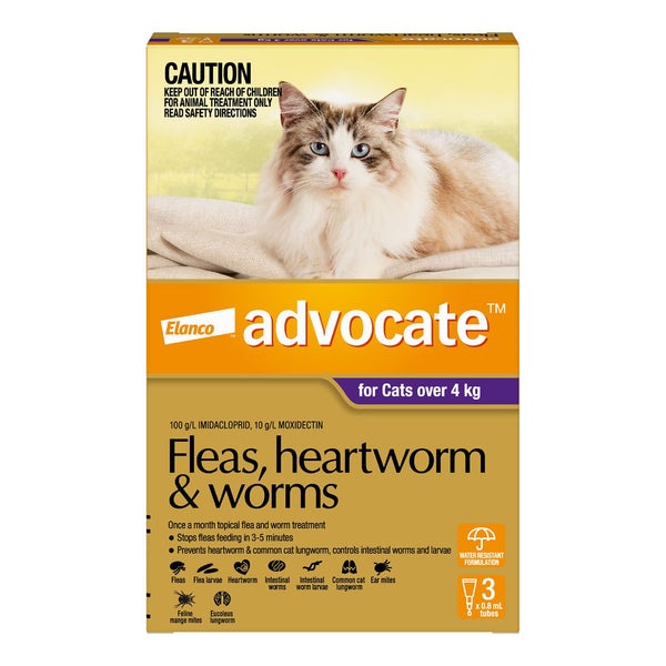 ADVOCATE CAT  4KG PLUS LARGE 3'S PURPLE