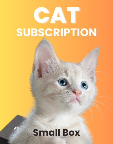 Cat Subscription Box: Small