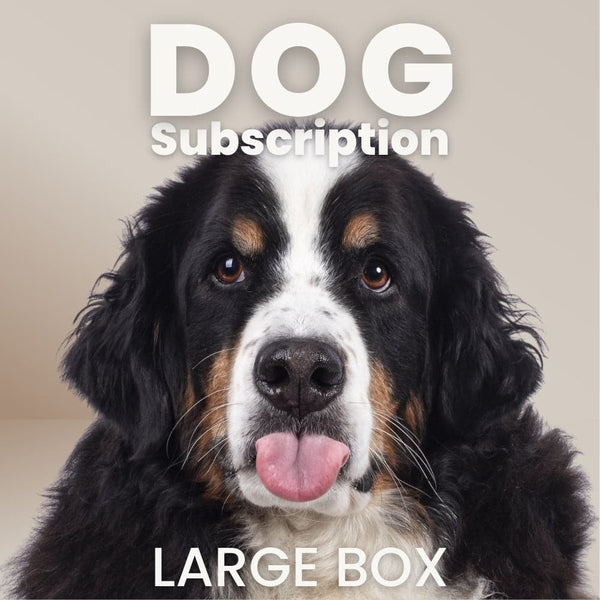 Dog Subscription Box: Large